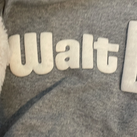 Walt Disney World Spirit Jersey Sherpa Size Medium Cozy - Picture 2 of 8